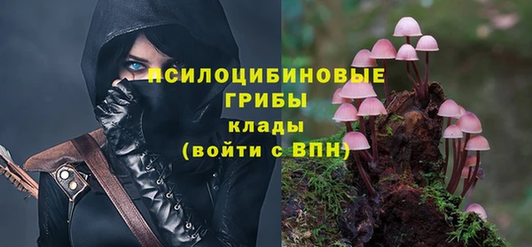амф Баксан